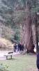 Once Upon A Time Tournage Saison 5 