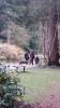 Once Upon A Time Tournage Saison 5 