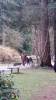 Once Upon A Time Tournage Saison 5 