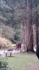 Once Upon A Time Tournage Saison 5 