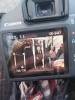 Once Upon A Time Tournage Saison 5 