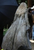 Once Upon A Time Tournage Saison 5 