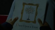 Once Upon A Time Livre n5 - Once Upon a Time 