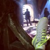 Once Upon A Time Tournage Saison 7 