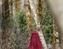 Once Upon A Time Tournage Saison 7 