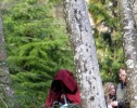 Once Upon A Time Tournage Saison 7 