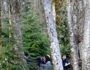Once Upon A Time Tournage Saison 7 