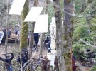 Once Upon A Time Tournage Saison 7 