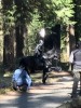 Once Upon A Time Tournage Saison 7 