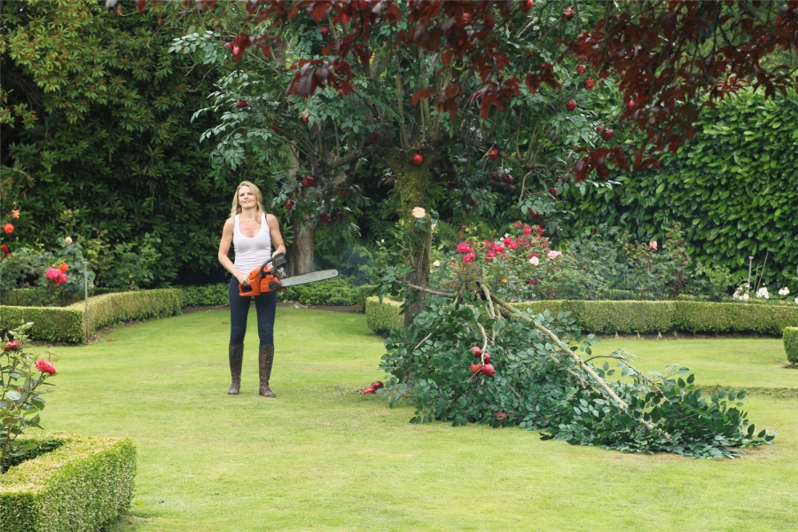 Emma Swan (Jennifer Morrison) qui coupe un arbre dans le jardin